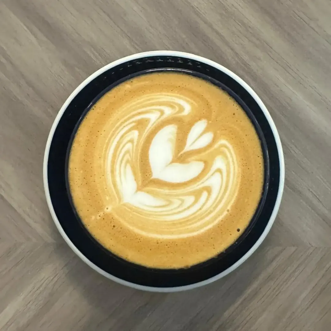 CAFE POLARIZE — photo 2
