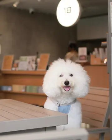十八克精品咖啡 (銅鑼灣海都大廈) photo 5