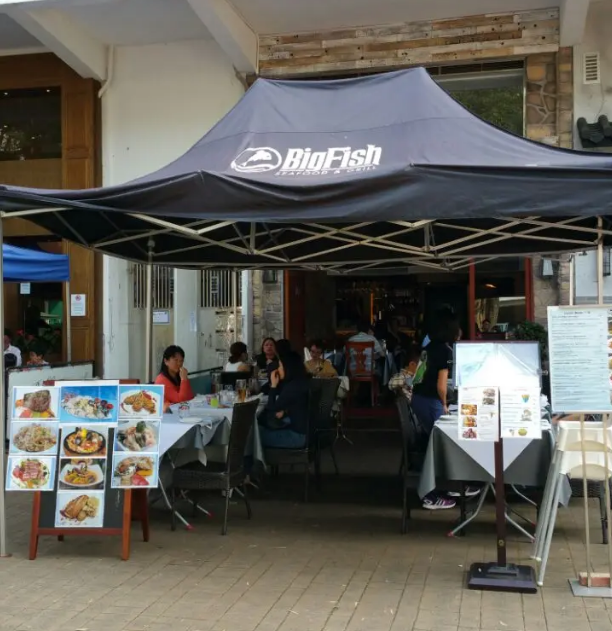 Big Fish — photo 1