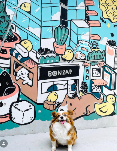 Bonza by Waffling Beans photo 1