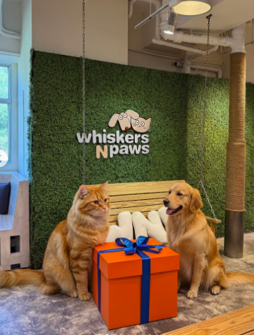 Whiskers N Paws — photo 1