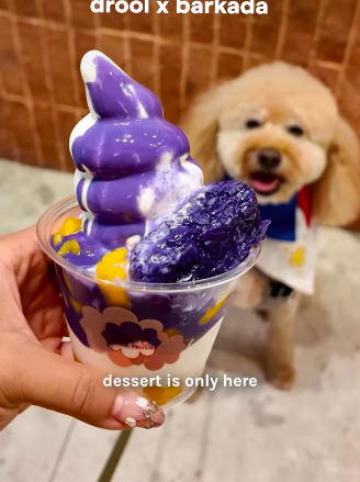 Drool Froyo (中環) — photo 1
