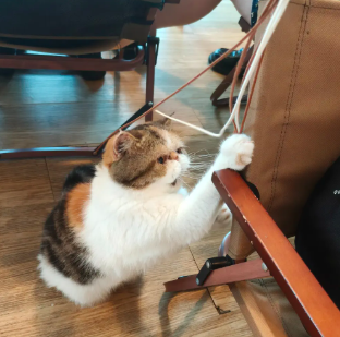 Relax B&M Cafe photo 2