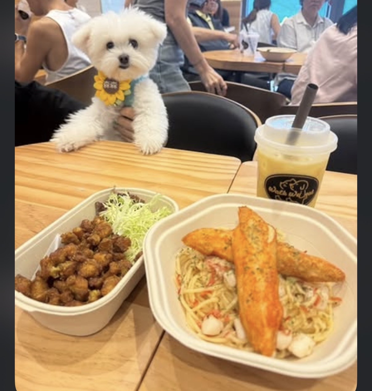 Walk We Eat — photo 7