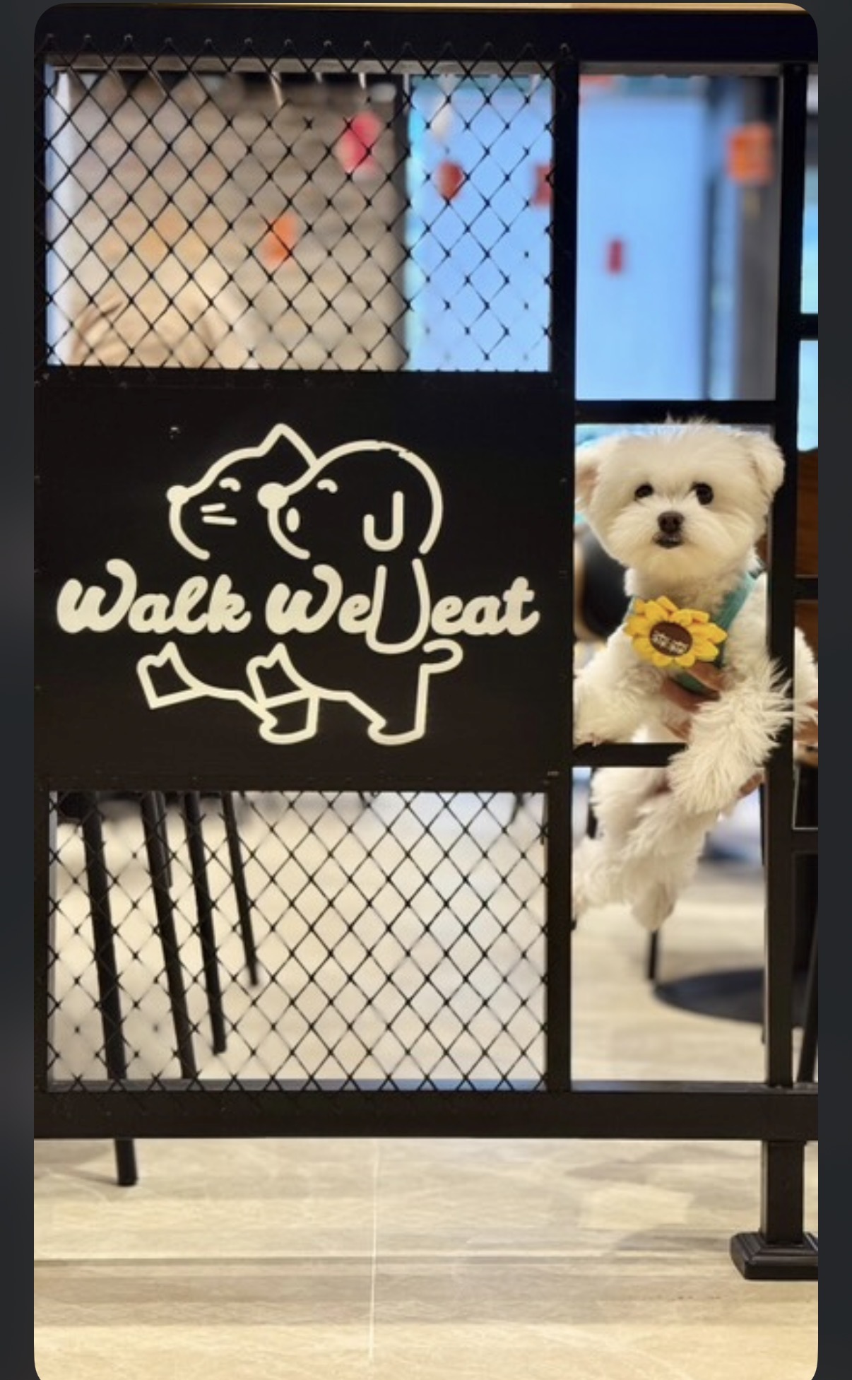 Walk We Eat — photo 6